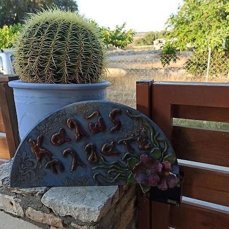 Cactus Home Kalamaki  Dış mekan fotoğraf