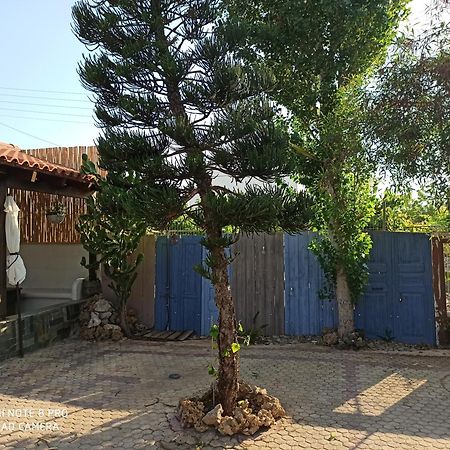 Cactus Home Kalamaki  Dış mekan fotoğraf