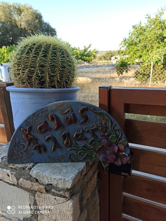 Cactus Home Kalamaki  Dış mekan fotoğraf