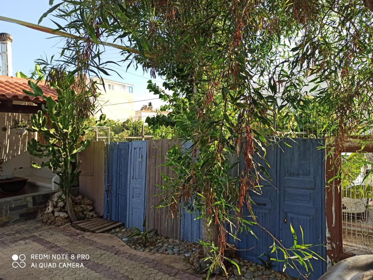 Cactus Home Kalamaki  Dış mekan fotoğraf