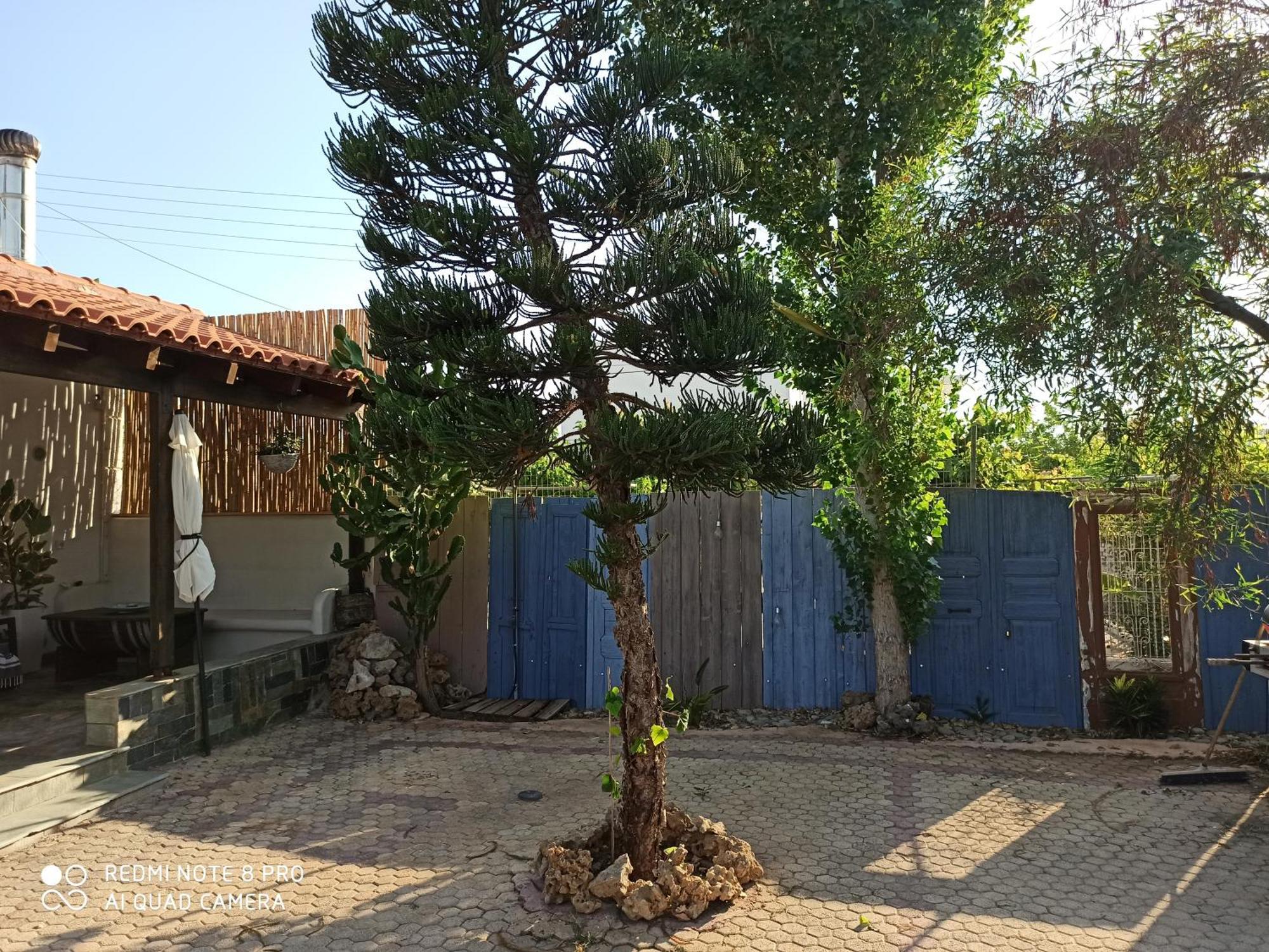 Cactus Home Kalamaki  Dış mekan fotoğraf