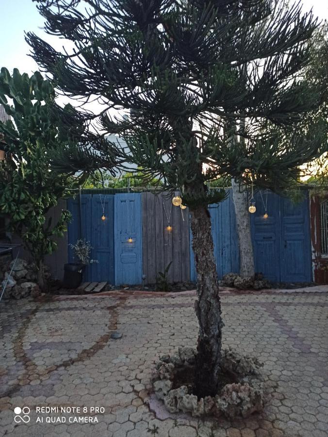 Cactus Home Kalamaki  Dış mekan fotoğraf